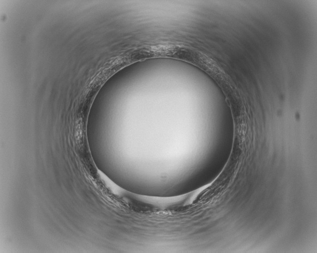 X0000052550593200507221453