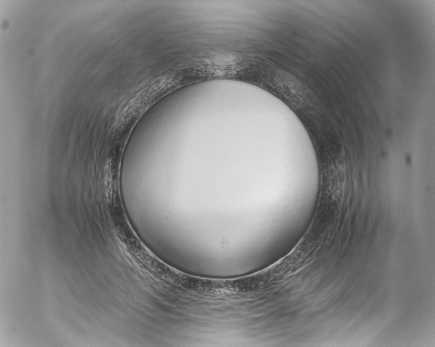 X0000052550594200507221453