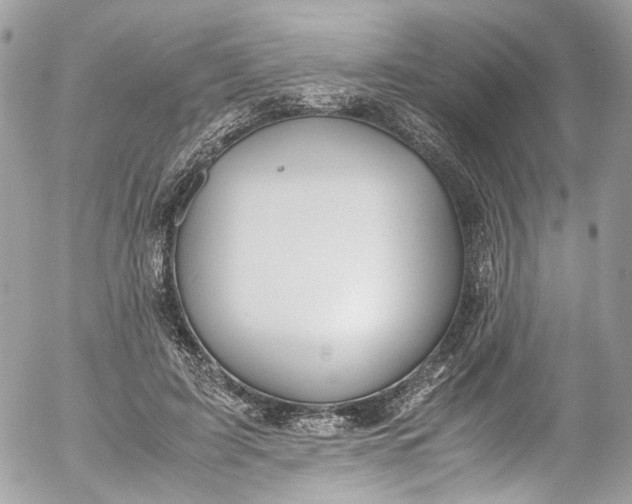 X0000052550595200507221453