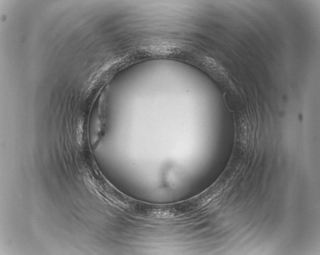 X0000052550596200507221453