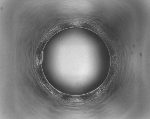 X0000052550597200507221453