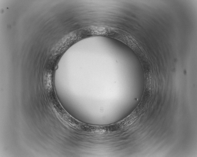 X0000052550598200507221453