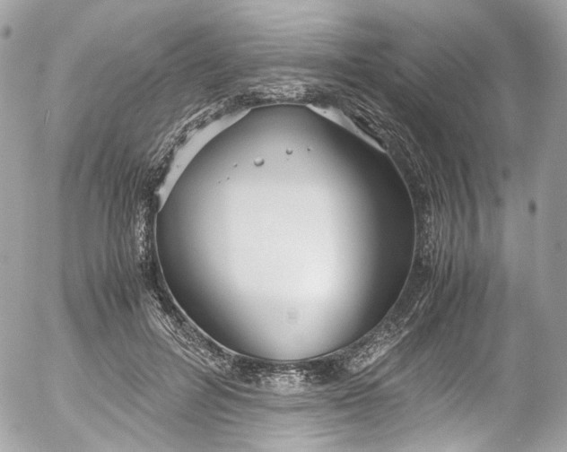 X0000052550600200507221453