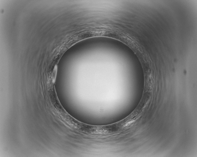 X0000052550601200507221453