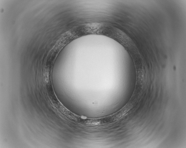 X0000052550602200507221453