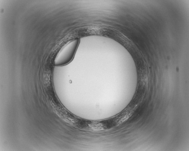 X0000052550603200507221453