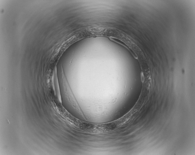 X0000052550604200507221453