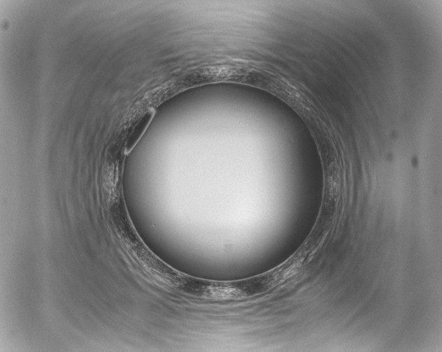 X0000052550605200507221453