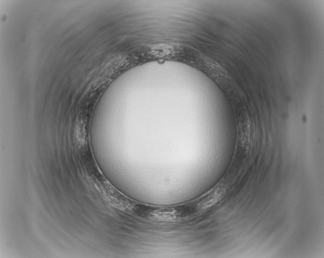 X0000052550606200507221453