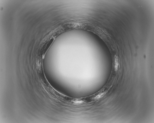 X0000052550607200507221453