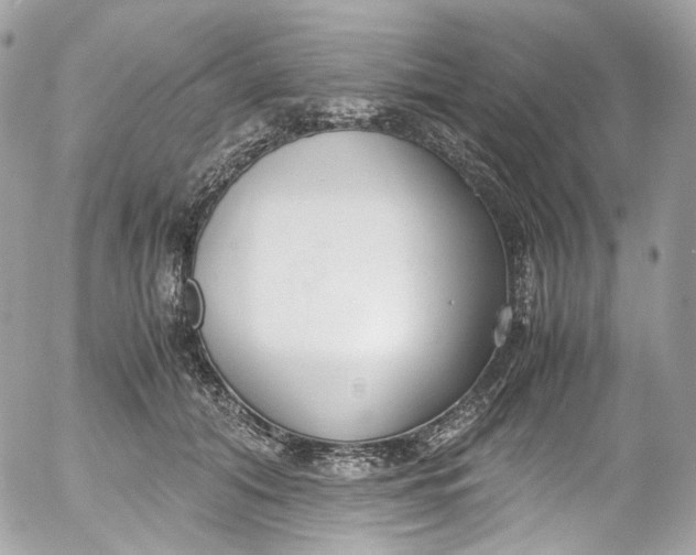 X0000052550608200507221453