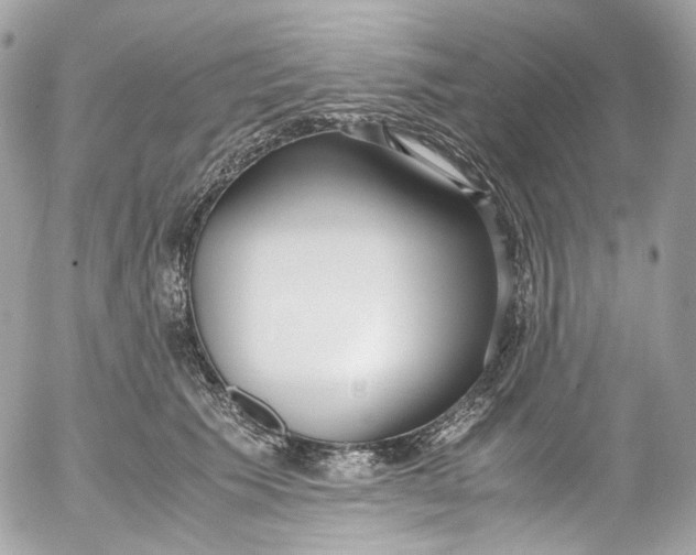 X0000052550609200507221453