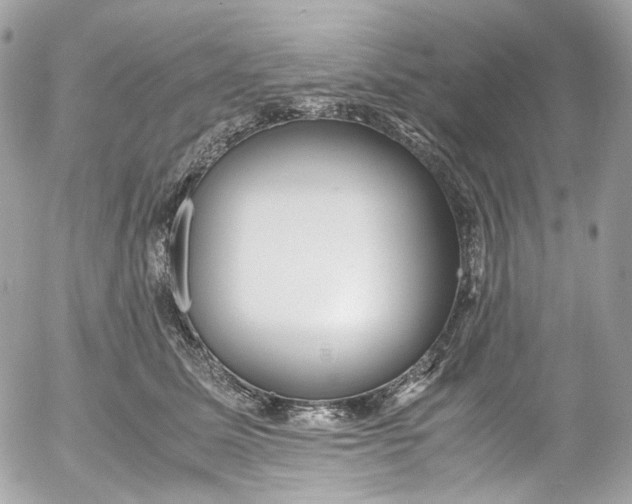 X0000052550611200507221452