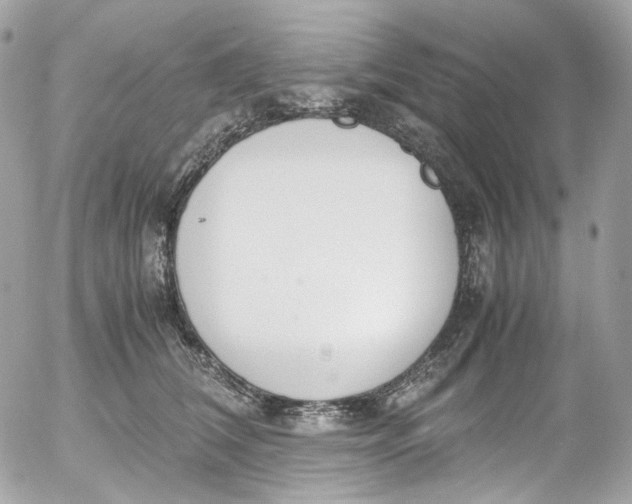 X0000052550612200507221452