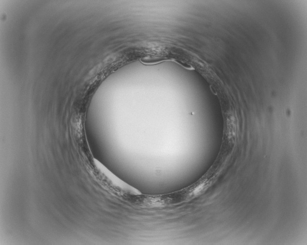 X0000052550613200507221452