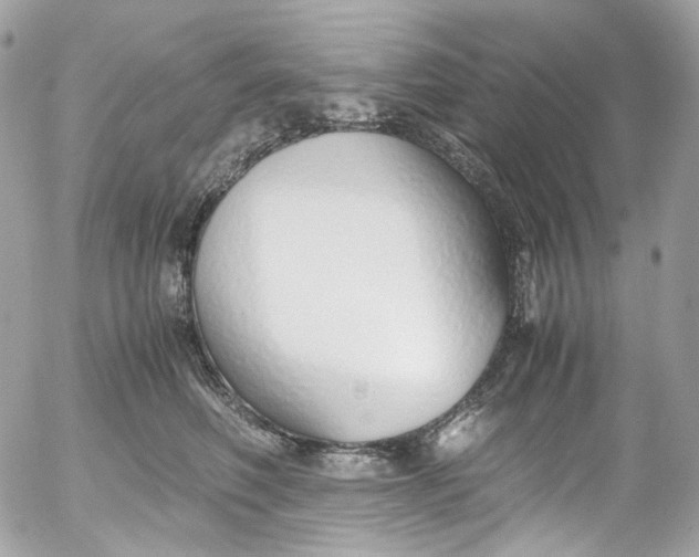 X0000052550614200507221452