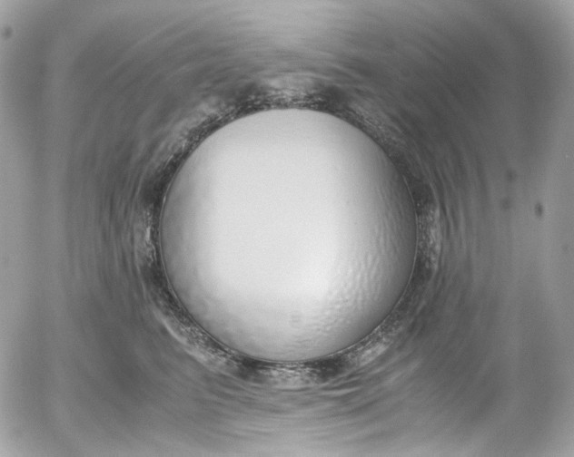 X0000052550615200507221452