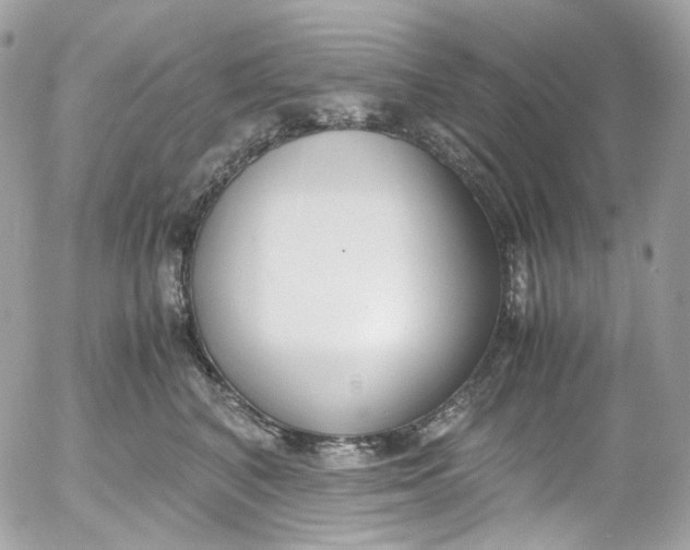 X0000052550616200507221452