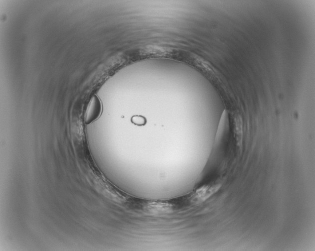 X0000052550617200507221452