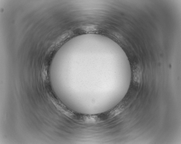 X0000052550618200507221452