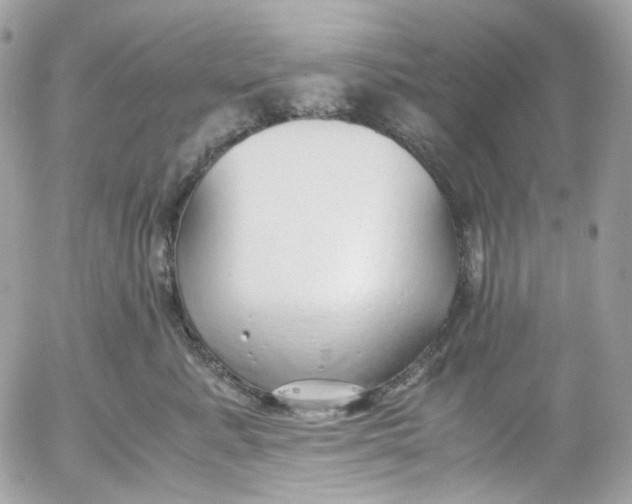 X0000052550619200507221452