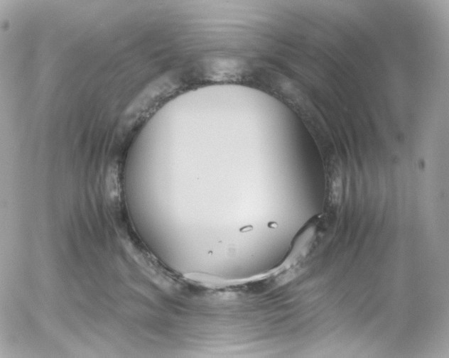 X0000052550620200507221452