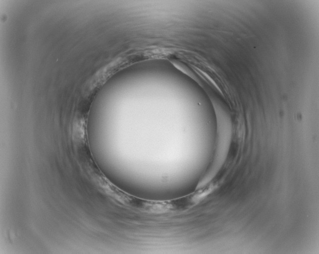 X0000052550621200507221452