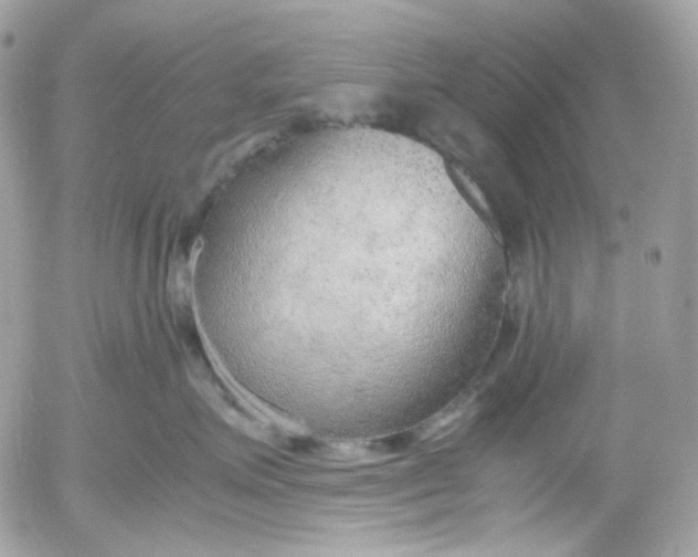 X0000052550623200507221452