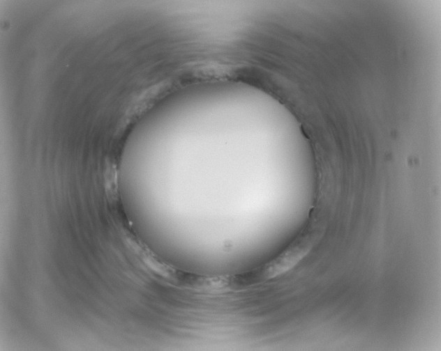 X0000052550624200507221452