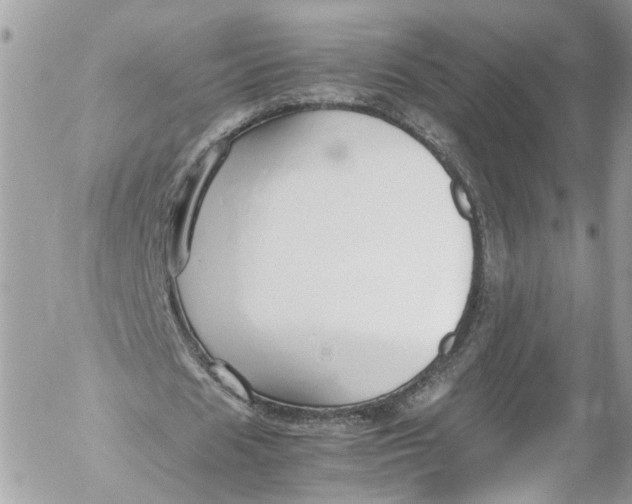 X0000052550625200507221452