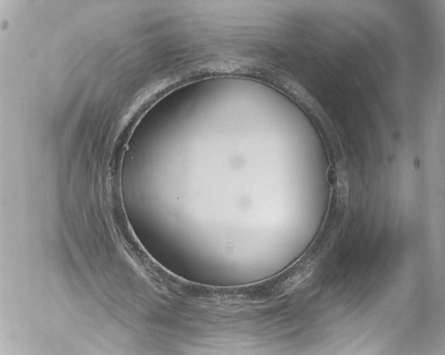 X0000052550626200507221452