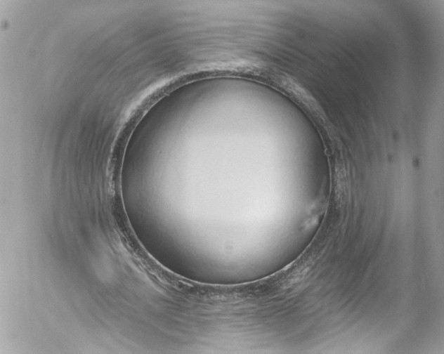 X0000052550628200507221452