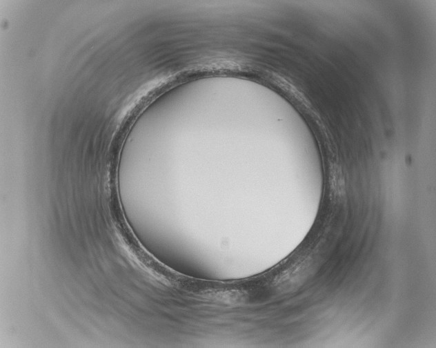 X0000052550629200507221452