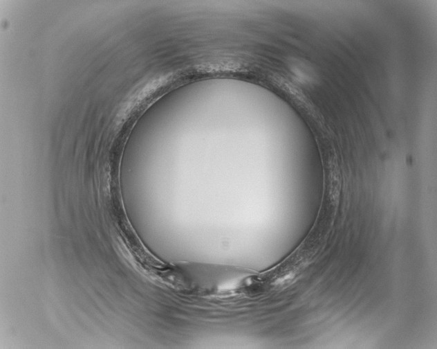 X0000052550631200507221452