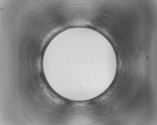 X0000052550632200507221452