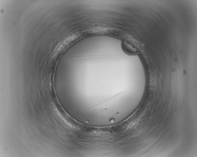 X0000052550633200507221452