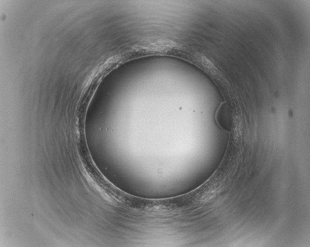 X0000052550634200507221452