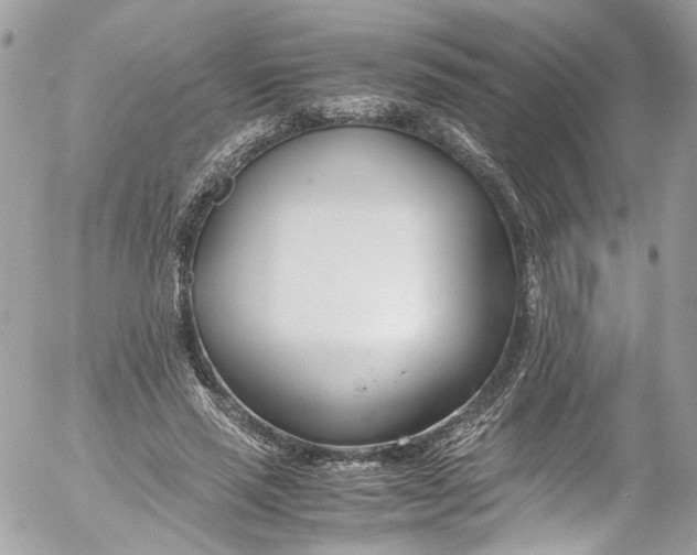 X0000052550637200507221452