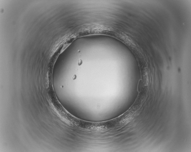 X0000052550638200507221452