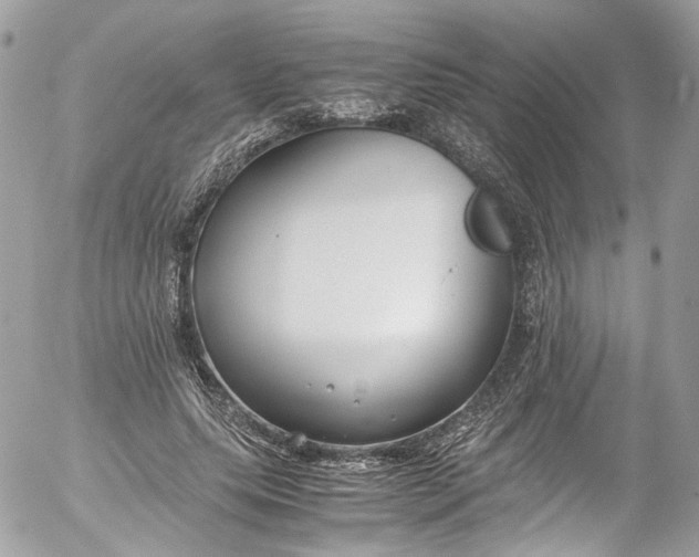 X0000052550639200507221452