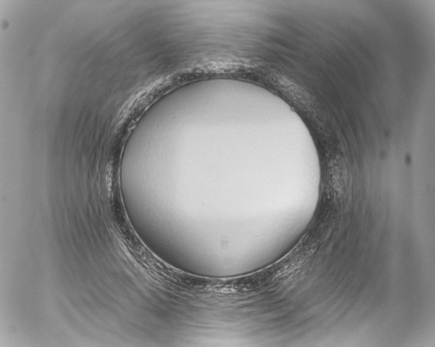 X0000052550640200507221452