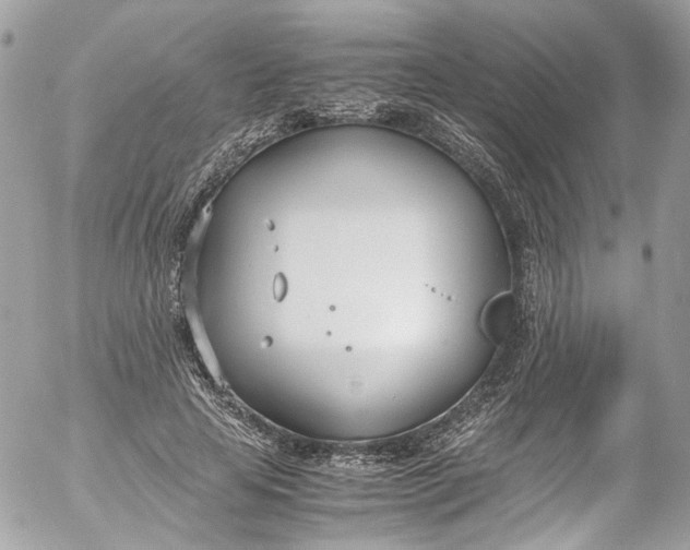 X0000052550641200507221452