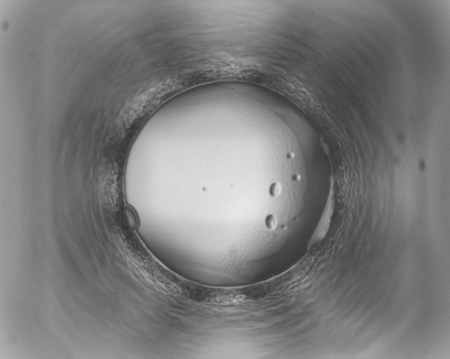 X0000052550642200507221452