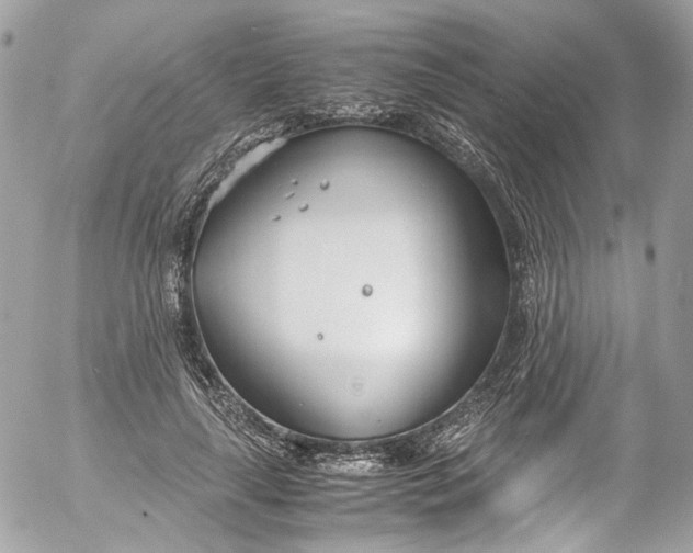 X0000052550643200507221452