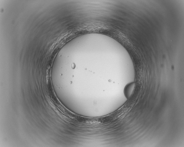 X0000052550644200507221452