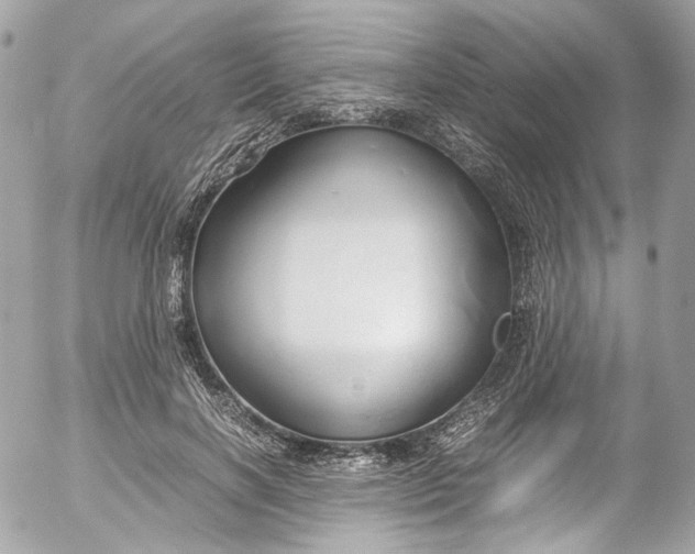 X0000052550646200507221452