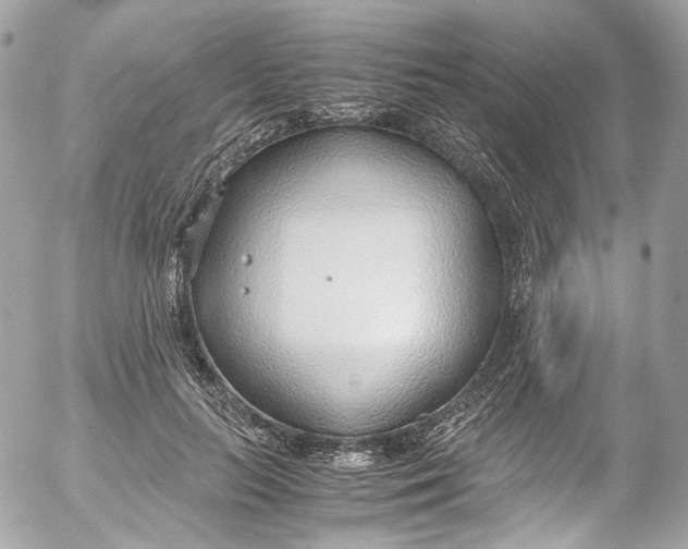 X0000052550647200507221452