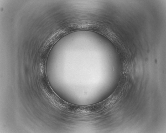 X0000052550648200507221452