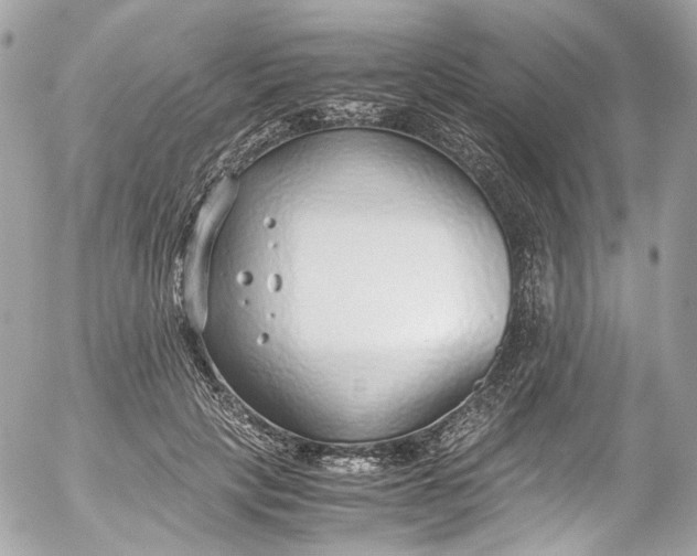 X0000052550649200507221452