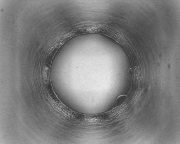 X0000052550650200507221452